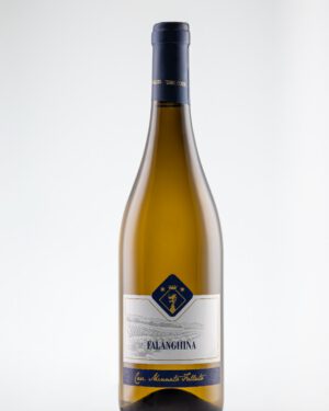 benevento falanghina